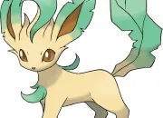 Quiz Les types des Pokmon (5/12)