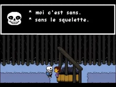 De quoi le nom de Sans est-il tiré ?