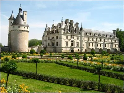 Quelle est cette ville bordée par la Maine et abritant un grand château ?