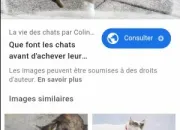 Quiz Connatre les animaux sur le bout des doigts