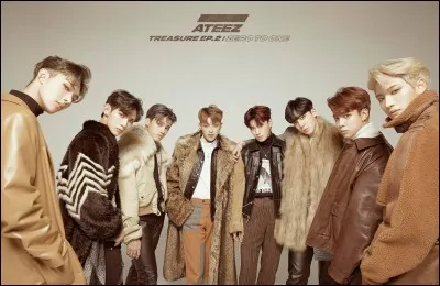 Comment s'appellent les fans d'Ateez ?