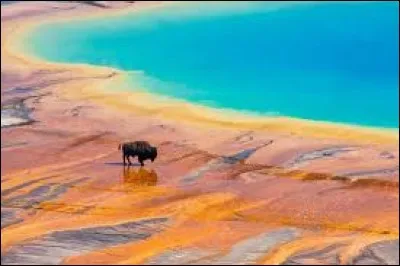 Dans quel pays cette photo a-t-elle été prise ?