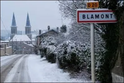 Blamont et Blâmont sont deux orthographes différentes pour désigner une seule et même commune.