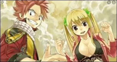 Dans quelle ville Natsu Dragnir et Lucy Heartfillia se sont-ils rencontrés ?