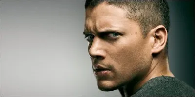 Quel adjectif qualifie le mieux Michael Scofield ?