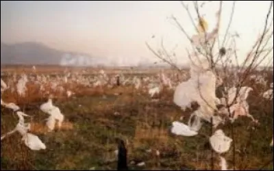 Lorsque tu vois du plastique dans la nature, que dois-tu faire ?