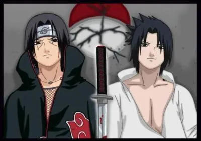 Qu'a fait Itachi  la fin de son combat contre Sasuke ?