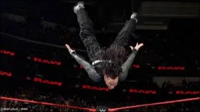 Quelle est la prise de finition de Jeff Hardy ?