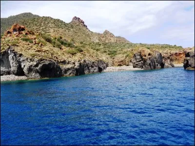 Dans l'émission jeunesse "l'Île aux Enfants", quel animal était le personnage principal, Casimir ?