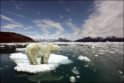 D'après le "Climatescope 2013", lequel de ces pays possède les groupes de réflexion les mieux classés ?