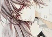 Quiz Vampire Knight