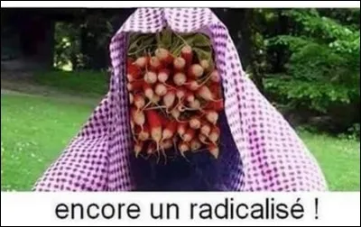 Dans la Grèce antique, l'amant d'une femme infidèle était puni d'une façon bien particulière !