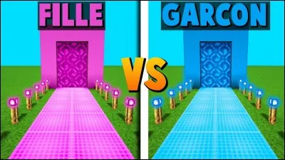 Es-tu une fille ou un garçon ?