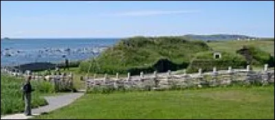 Dans quelle province se situe le site de l'Anse aux Meadows ?