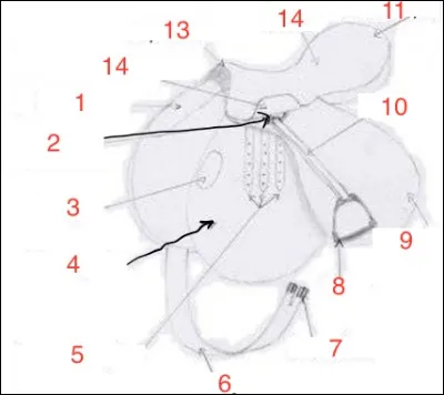 À quoi correspond le numéro 5 de l'image ?