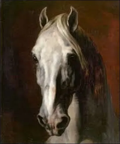 ''Tête de cheval blanc'' est une huile sur toile réalisée en 1815, et conservée au musée du Louvre. Nous montrant une tête de cheval claire, son regard est profond, surgissant d'un fond sombre. Quel romantique est l'auteur de ce tableau ?