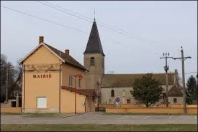 Aujourd'hui, je vous propose de commencer notre balade en Auvergne-Rhône-Alpes, à Asnières-sur-Saône. Petit village de 63 habitants, sur les bords de Saône, il se situe dans le département ...