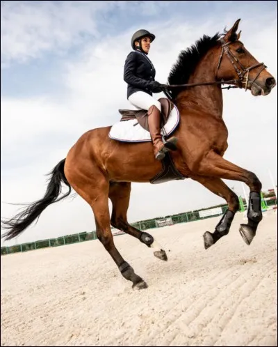 Sur quel pied galope ce cheval ?