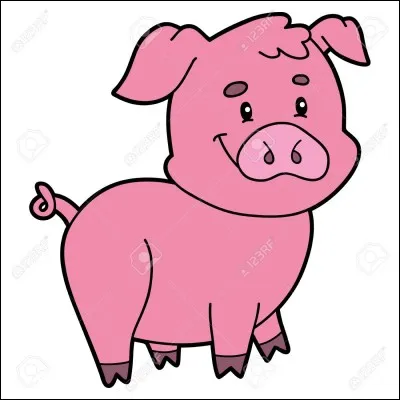 Qui est le papa du petit cochon, en qualité de mâle reproducteur ?