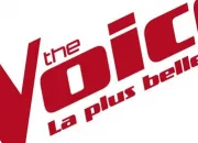 Quiz Stars de 'The Voice'