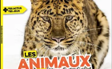 Quiz Animaux