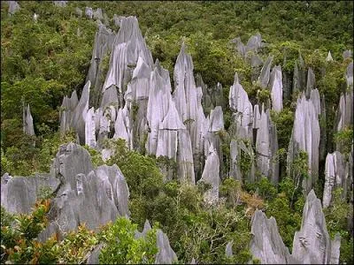 Quel est le nom du parc national Malais qui abrite cette merveille de calcaire ?