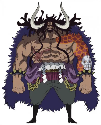 Qui est Kaido ?