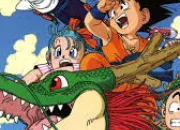 Quiz Connaissez-vous bien Dragon Ball ?