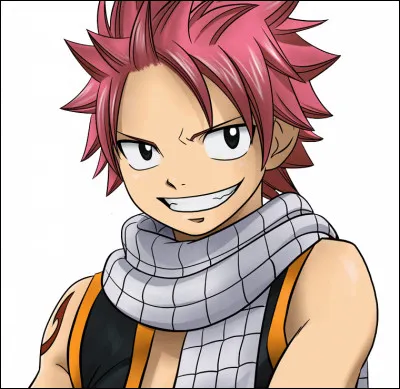 Quel est le dragon de Natsu ?