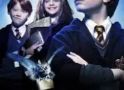 Quiz Connaissez-vous bien Harry Potter ?