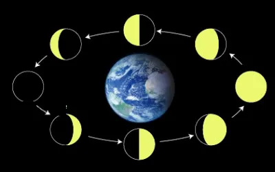 Combien y a-t-il de phases principales de la Lune ?