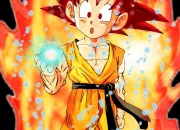 Quiz ''Dragon Ball Z''