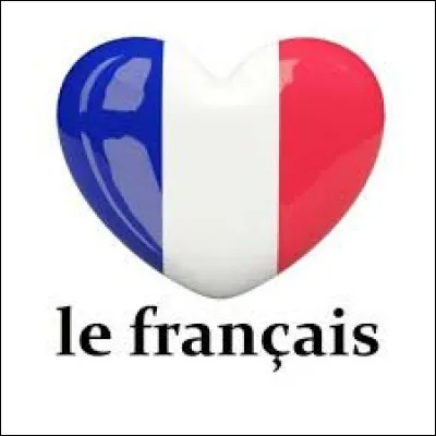 Travailles-tu en français ?