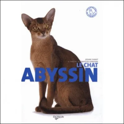 Le problème de la France, c'est sa dette extérieure, elle est abyssinale !