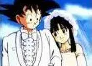 Quiz Les couples dragon ball z