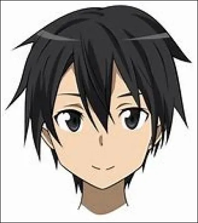 Quelle est la tenue de Kirito dans la saison 1 ?