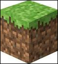 Quiz Minecraft