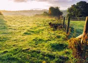 Test Es-tu fais pour vivre en campagne (Bretagne) ?