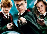 Test Qui serait ton petit ami dans 'Harry Potter' ?