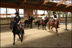 Quiz Equitation