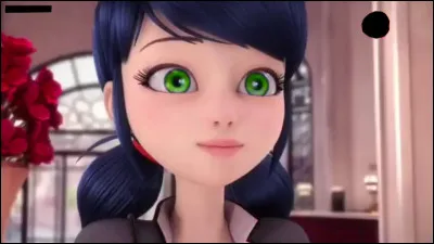 Qui est Marinette ?