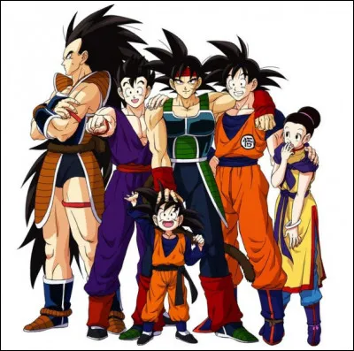 Qui fait partie de la famille de Sangoku ?