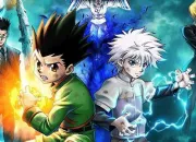 Quiz Connais-tu bien Hunter x Hunter ?