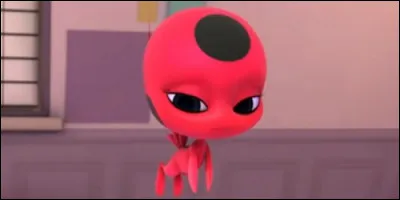 Comment s'appelle le Kwami de Ladybug ?