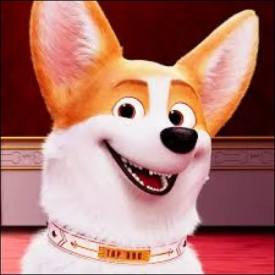 Qui a offert le corgi à la reine ?