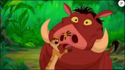 Commençons par une facile : comment s'appelle le meilleur ami de Pumba ?