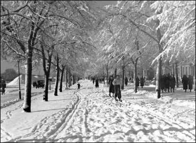 Quel beau jour de février 37, une superbe journée ensoleillée, il y a eu une belle bordée et les jeunes skient dans les rues en ville : la texture de la neige est idéale aux traces. On voit que ce sont des habitués, ils sont solides sur leurs skis, même le petit bambin à gauche. Il y a en même un, à l'extrême gauche, qui comme moi, roule en vélo l'hiver.
Situez de quelle ville ces nordiques sont.