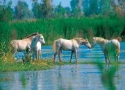 Quiz L'eau de l - les lacs