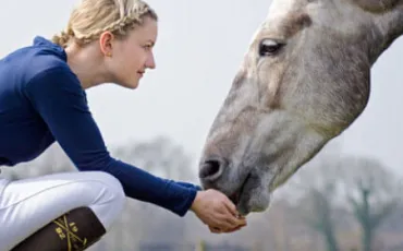 Quiz Chevaux