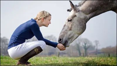 Comment approcher un cheval ?